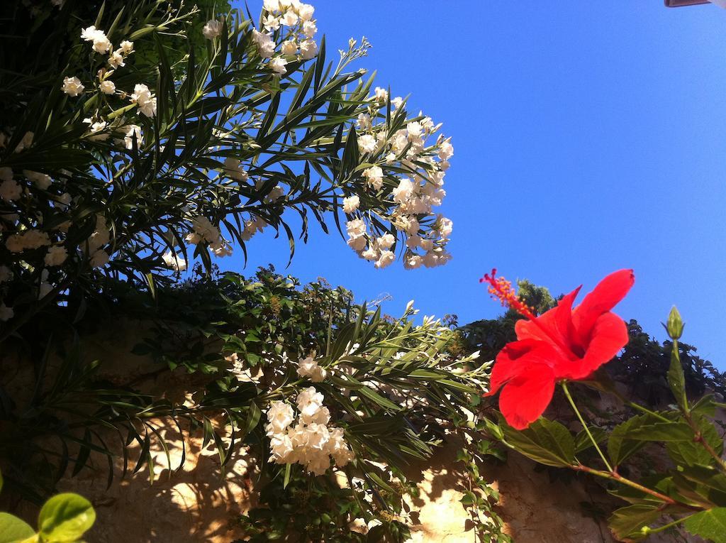Villa Valo Kalkan Quarto foto